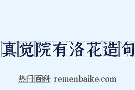 真觉院有洛花造句是什么意思的图片